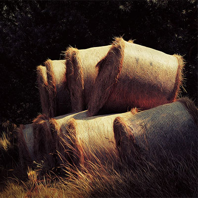 haystack-768757_400X400